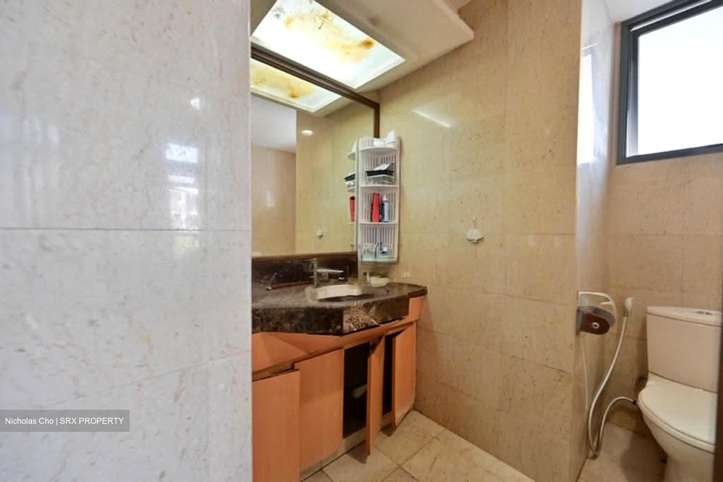 Carissa Park Condominium (D17), Condominium #608159111